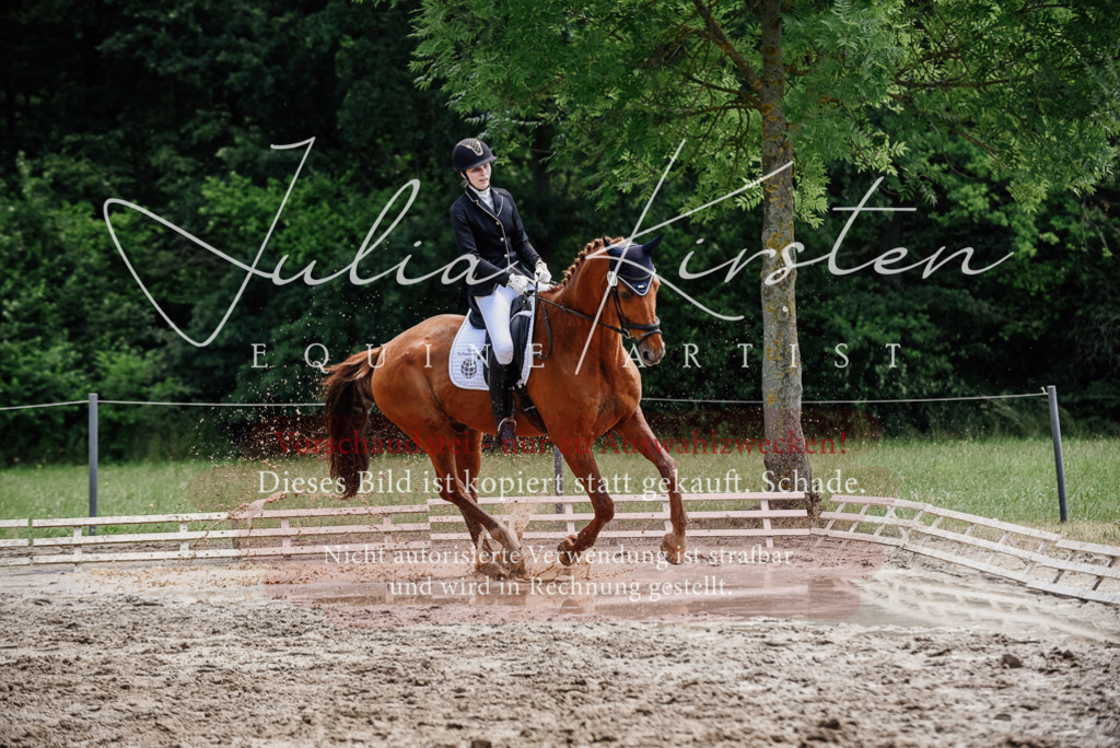 DSC_1601 | Pferde- und Turnierfotografie in Westsachsen. Pferdeportraits, Auftragszeichnungen und intuitive Kunst.