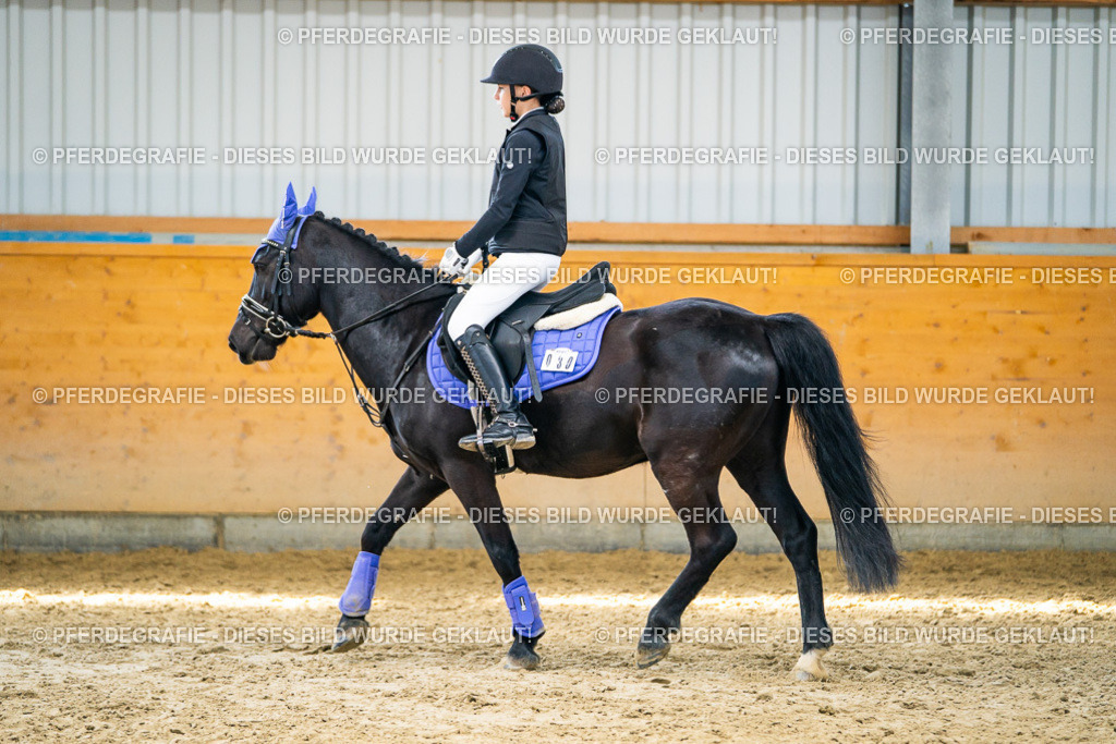 DSC02142 | Pferdegrafie