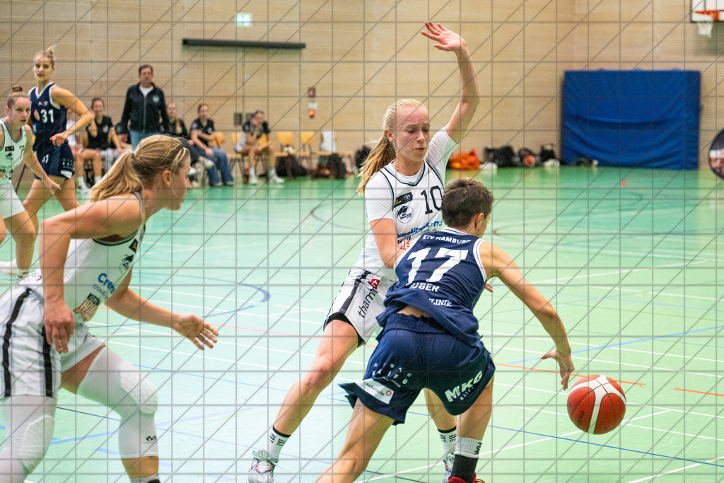 2. DBBL Nord 24/25 | 20.10.2024 | BBC OS vs. Eimsbütteler TV | 2. DBBL Nord 24/25 | 20.10.2024 | BBC OS vs. Eimsbütteler TV - - - - - CREDIT, www.bullenfotos.de, Martin König, Hörner Weg 40, D-49078 Osnabrück, +4917663732967, Nutzung und Weitergabe nur zu den vereinbarten Zwecken. Presseanfragen an Urheber. Alle Rechte beim Urheber. - - - - - - Realisiert mit Pictrs.com