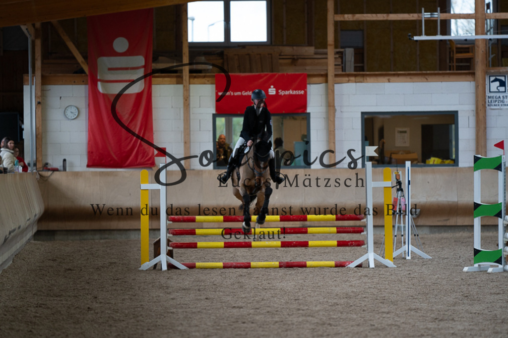 A7V03045 | Pferdefotograf