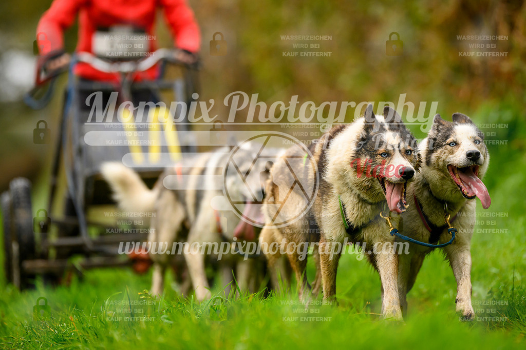 MompixPhotography_20TSB_E8_Kart-33 | PayLife