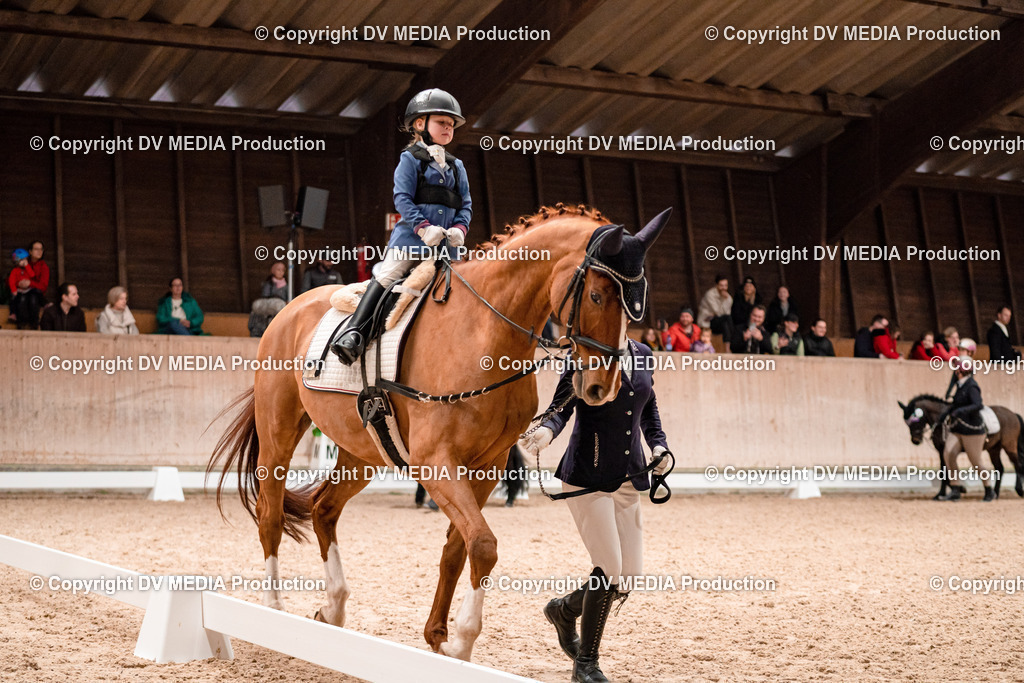 Dressur Tag 3-455 | dv-media-shop - Realisiert mit Pictrs.com