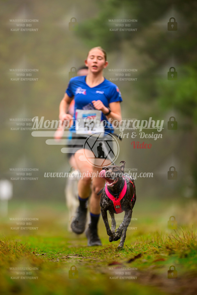 MompixPhotography_Bischwiller2025_Canicross-35 | mompixphotography