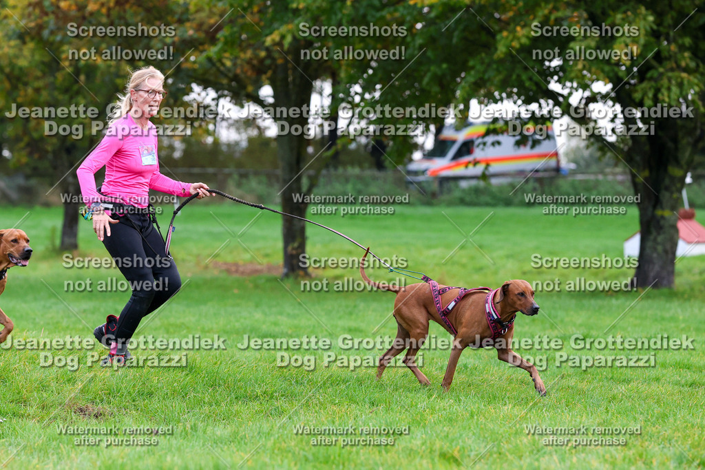 Dog Paparazzi -  SD1026-936 | Dog Paparazzi Jeanette Grottendiek Fotografie & Videografie - Realisiert mit Pictrs.com