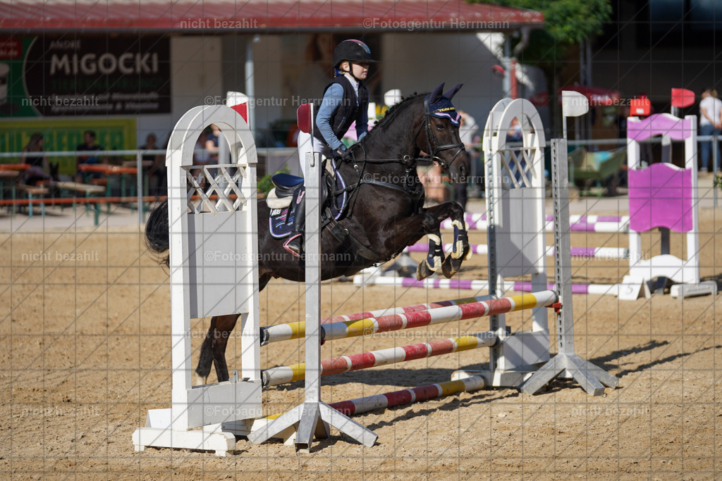 20240824-FAH07253 | Thierhaupten 2024, Bayerisches Landesponyturnier, Turnierbilder, Ponybilder, Turnierfotografen Bayern, Fotoagentur Herrmann