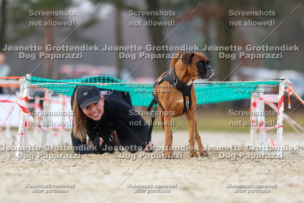 Dog Paparazzi - Strongdog North Mrz26-3809 | Dog Paparazzi Jeanette Grottendiek Fotografie & Videografie - Realisiert mit Pictrs.com