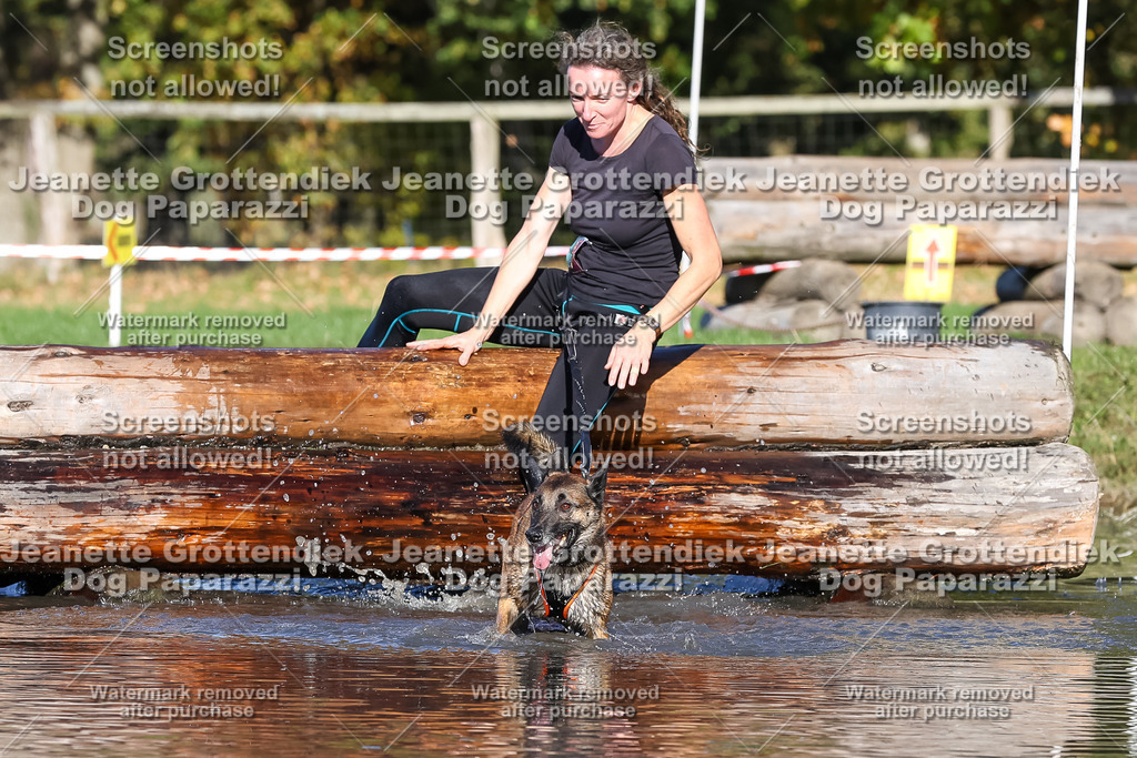 Dog Paparazzi - Strongdog 10-25-8965 | Dog Paparazzi Jeanette Grottendiek Fotografie & Videografie - Realisiert mit Pictrs.com
