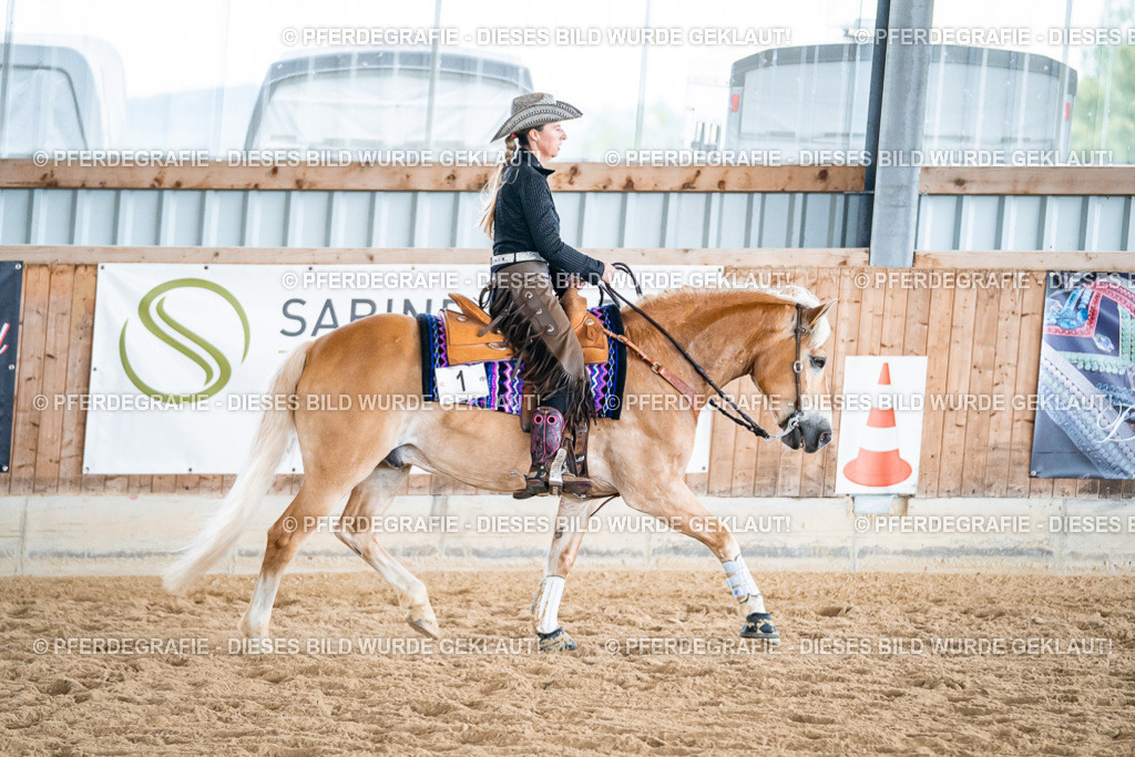 DSC07500 | Pferdegrafie