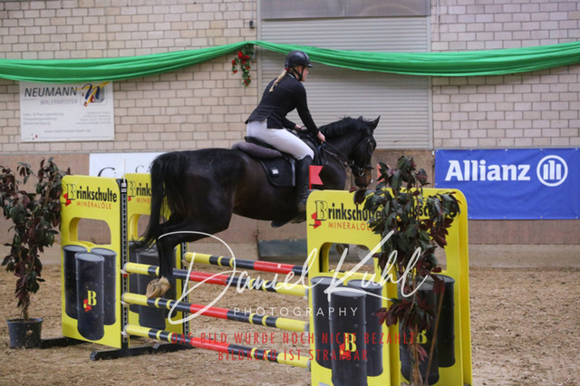IMG_0667 | Turnierfotos kaufen im Webshop von Daniel Kuhl Photography – entdecke professionelle Reitsportfotos aus Turnieren & Events. Hochwertige Turnierbilder online bestellen & sichern. Jetzt Fotos von Reitsportturnieren kaufen!