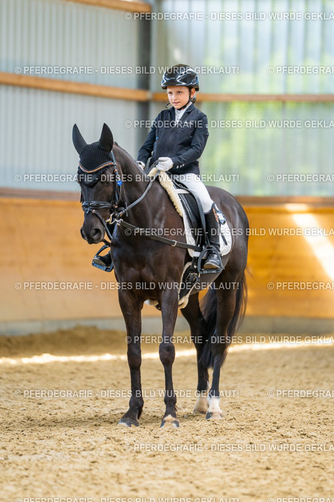 DSC08920 | Pferdegrafie