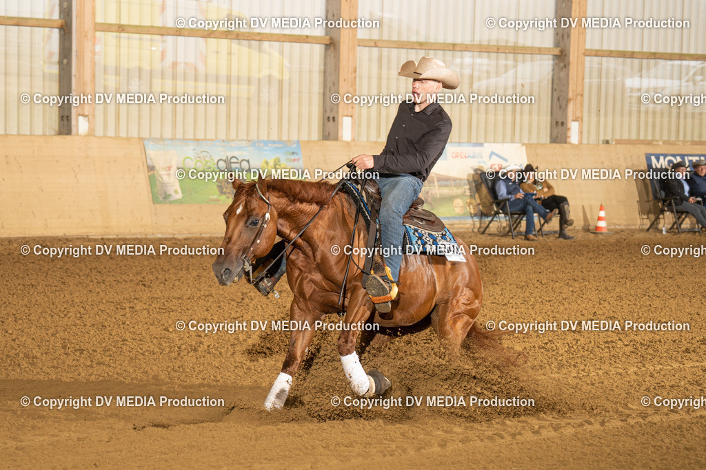 LAU00482 | dv-media-shop - Realisiert mit Pictrs.com