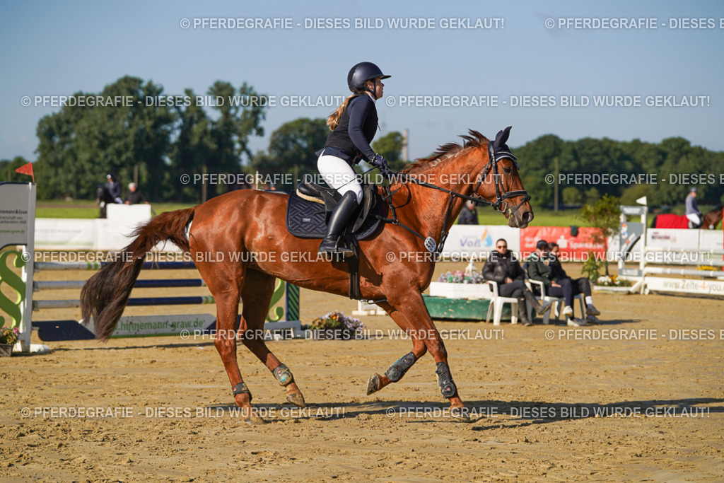 DSC04811 | Pferdegrafie