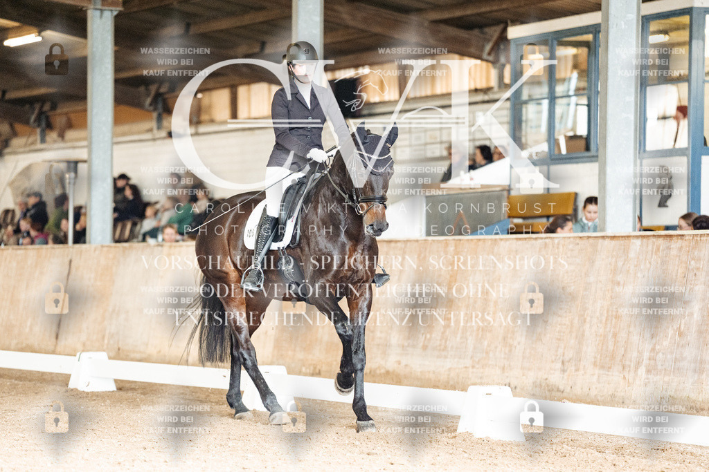 CK902084 | Turnierfotografie Pferdefotografie Trier Rheinland-Pfalz Pferdesport Reitsport Tierfotografie Sportfotografie Pferdevideo Pferdevideografie Equestrianvideography equestrianphotography  - Realisiert mit Pictrs.com