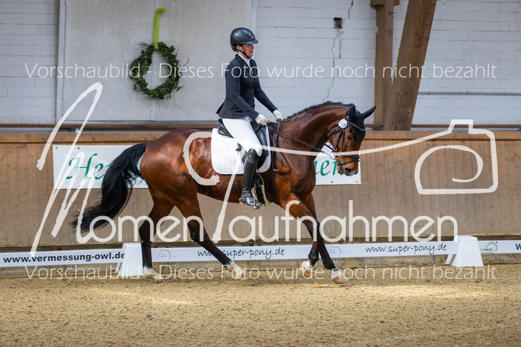 Sth-LPO25-A-Dr-023 | MomenTaufnahmen Pferdesportfotos