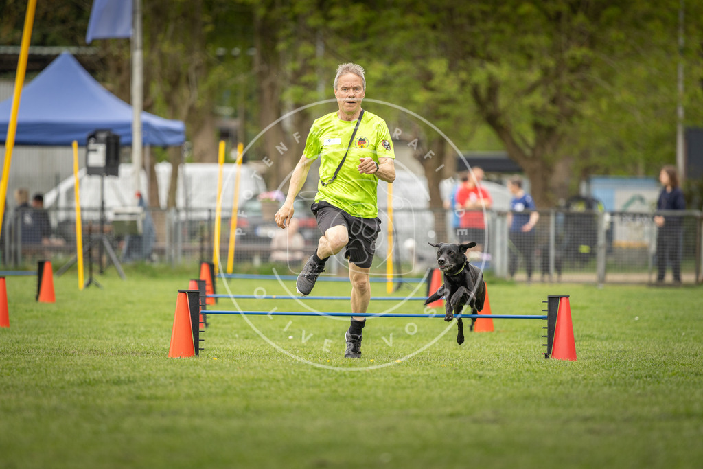 Pfotenfotografie_DV3A8485 | Hundefotografie, Tierfotograf, Pfotenfotografie, Fotoshooting Hund, Hunde Portrait, Hundesport, Hundeportraits, Heideshooting, Hunde, Sportfotograf, Hundefotograf, Turnierhundsport, THS,  - Realisiert mit Pictrs.com