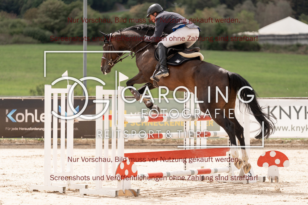DSC06424 | Springturnier_Teamchallege_Talheim_2026, Joachim_Scherr, Cancarbo_W_Z