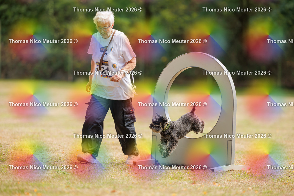 Thomas_Nico_Meuter(C)_22. August 2026_223A5229 | Bild von Thomas Nico Meuter - Realisiert mit Pictrs.com