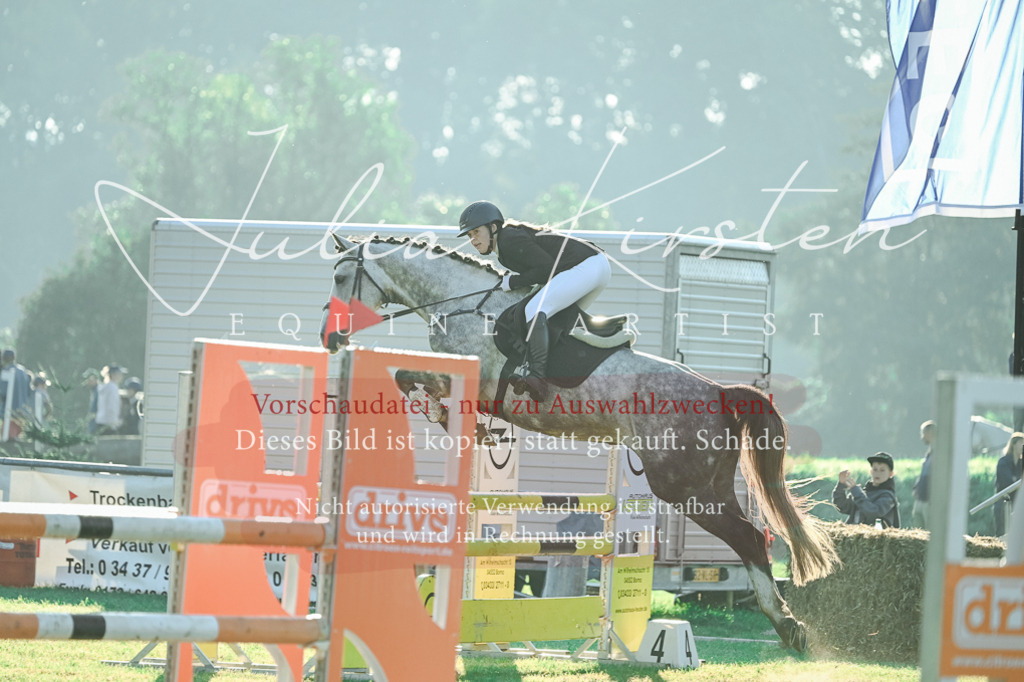 DSC_4147 | Pferde- und Turnierfotografie in Westsachsen. Pferdeportraits, Auftragszeichnungen und intuitive Kunst.