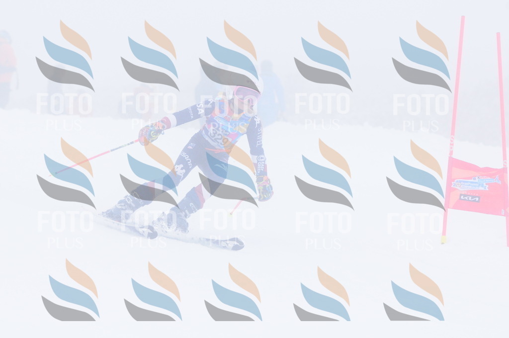 C3519 | holidayphoto