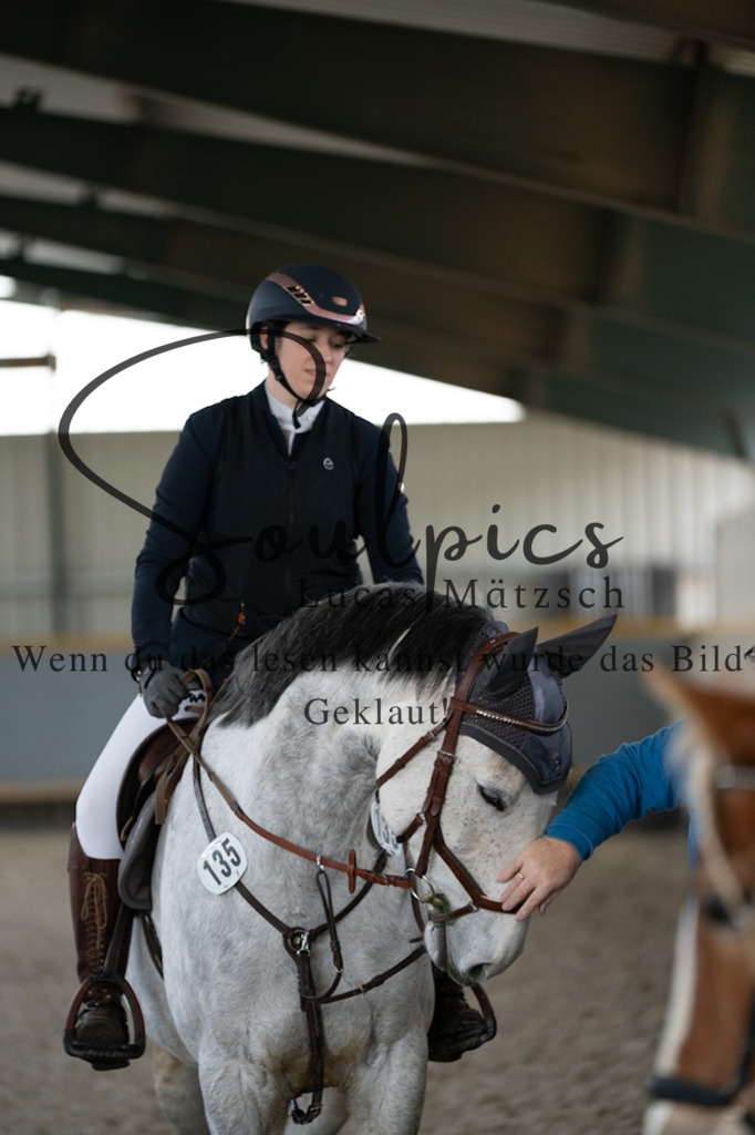 A7V04156 | Pferdefotograf