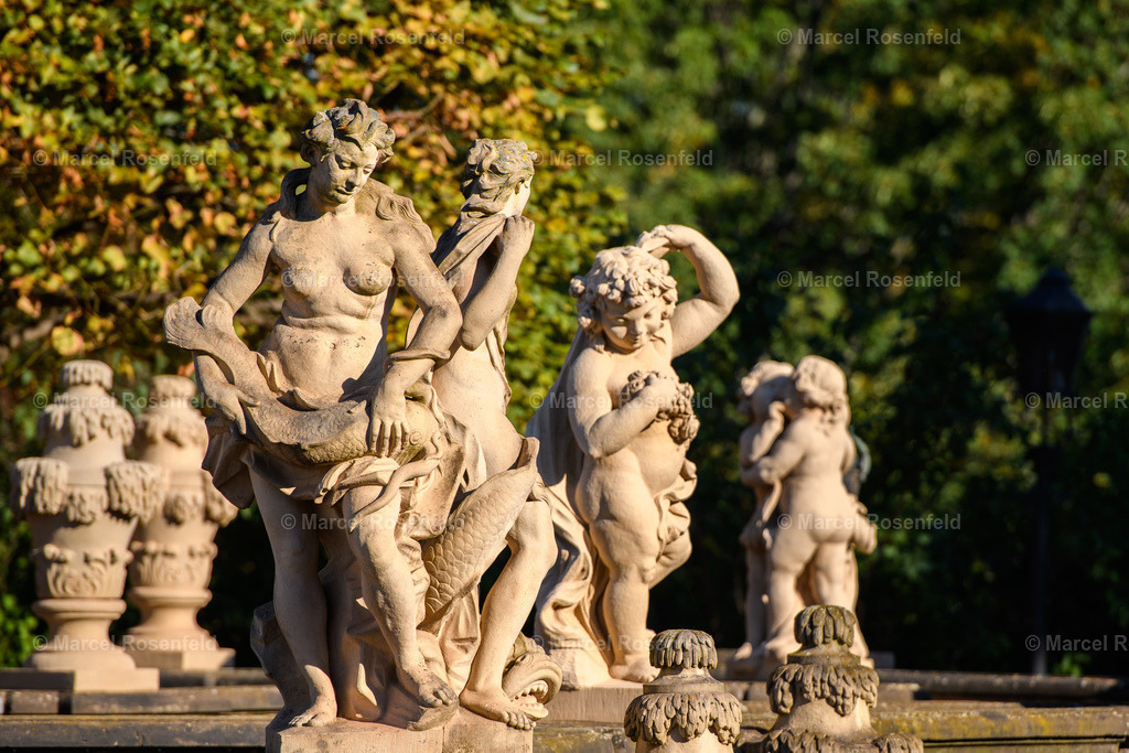 _DSC1550 | foto-rosenfeld