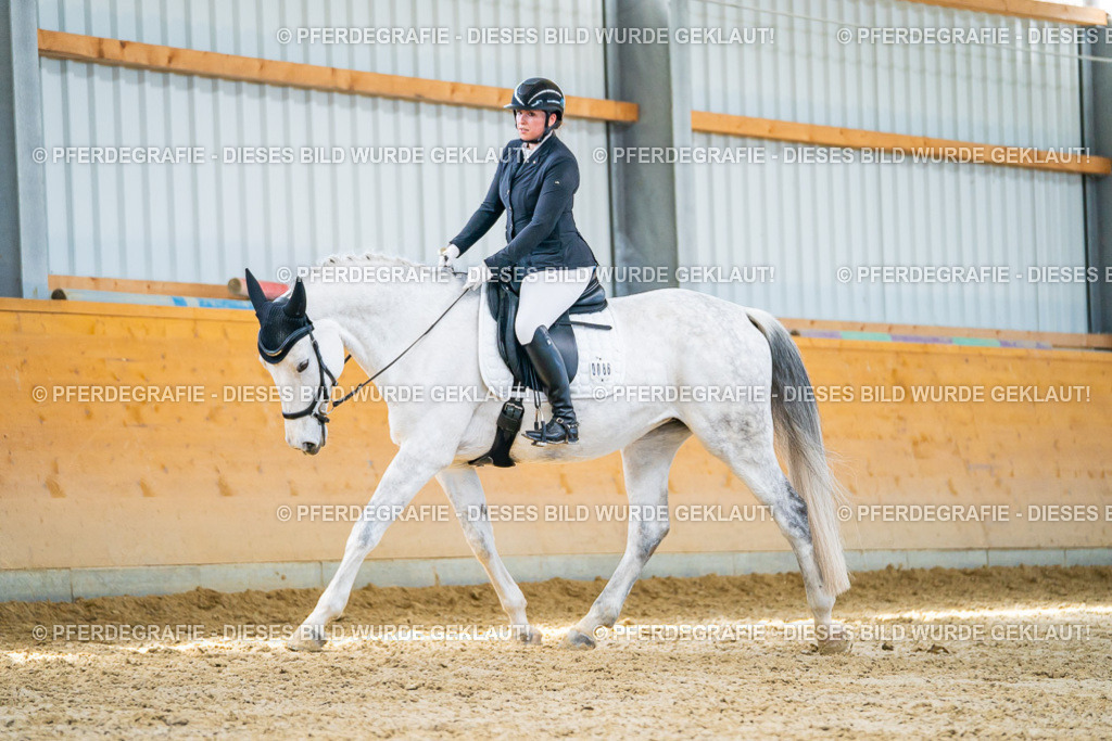 DSC07879 | Pferdegrafie