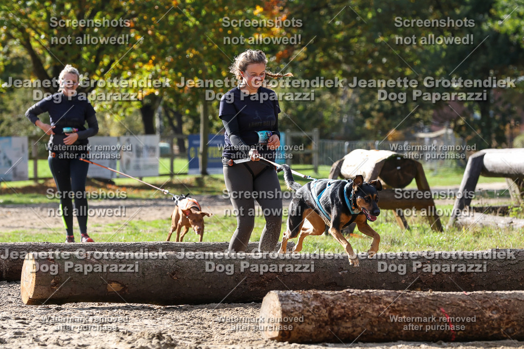 Dog Paparazzi - Strongdog 10-25-5841 | Dog Paparazzi Jeanette Grottendiek Fotografie & Videografie - Realisiert mit Pictrs.com