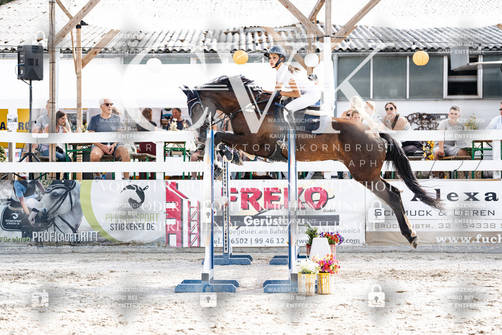 CK905931 | Turnierfotografie Pferdefotografie Trier Rheinland-Pfalz Pferdesport Reitsport Tierfotografie Sportfotografie Pferdevideo Pferdevideografie Equestrianvideography equestrianphotography  - Realisiert mit Pictrs.com
