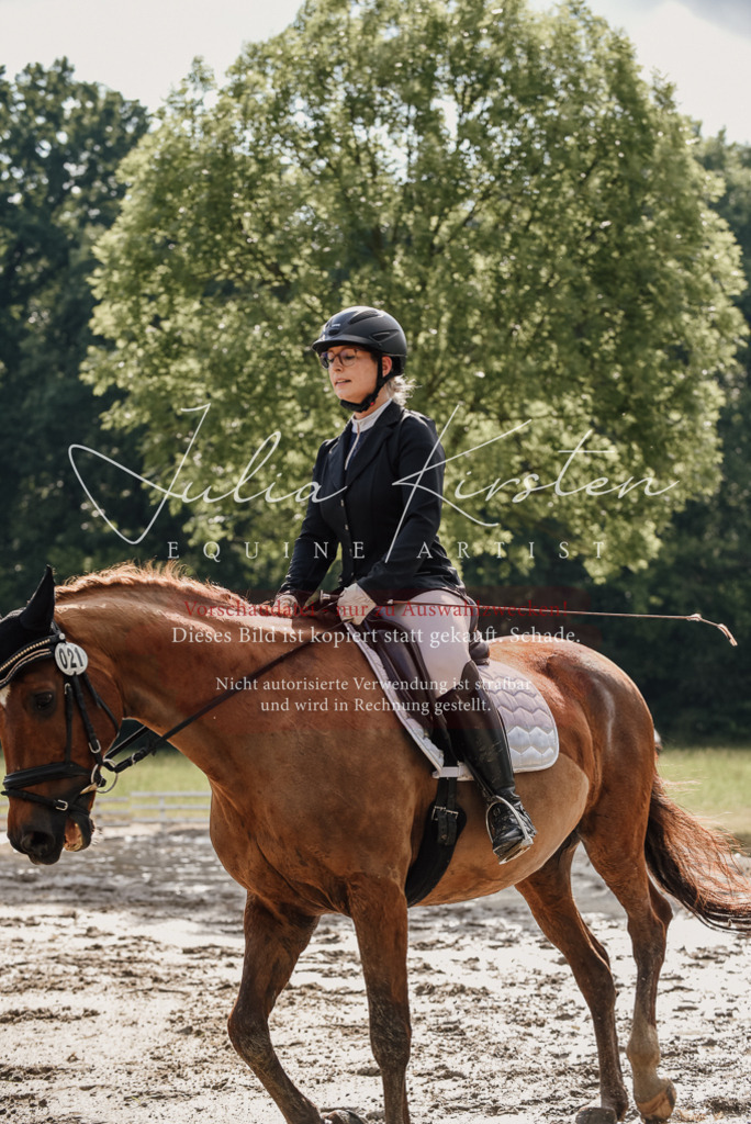 DSC_8847 | Pferde- und Turnierfotografie in Westsachsen. Pferdeportraits, Auftragszeichnungen und intuitive Kunst.