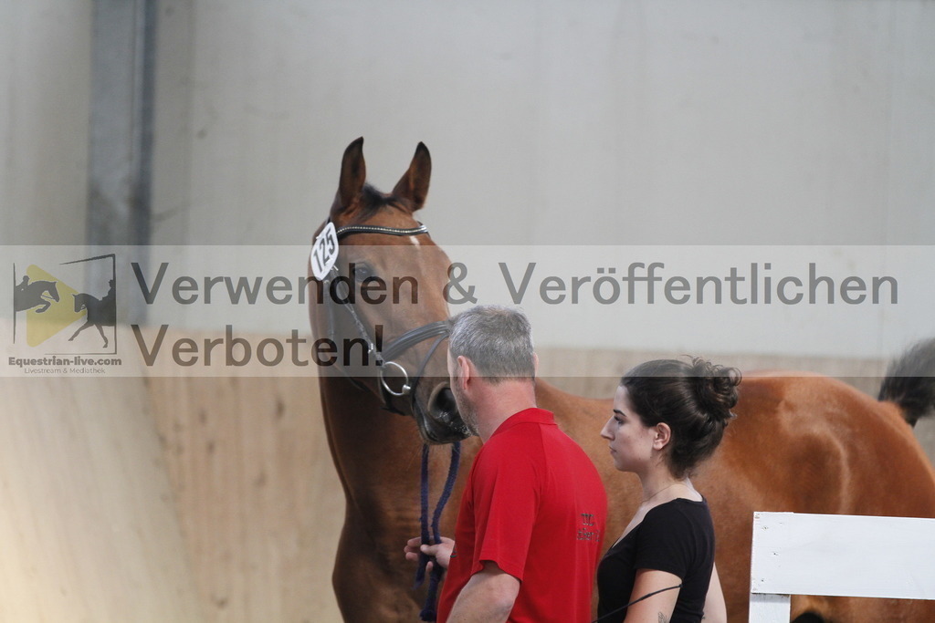 _MG_0637 | equestrian-live-com