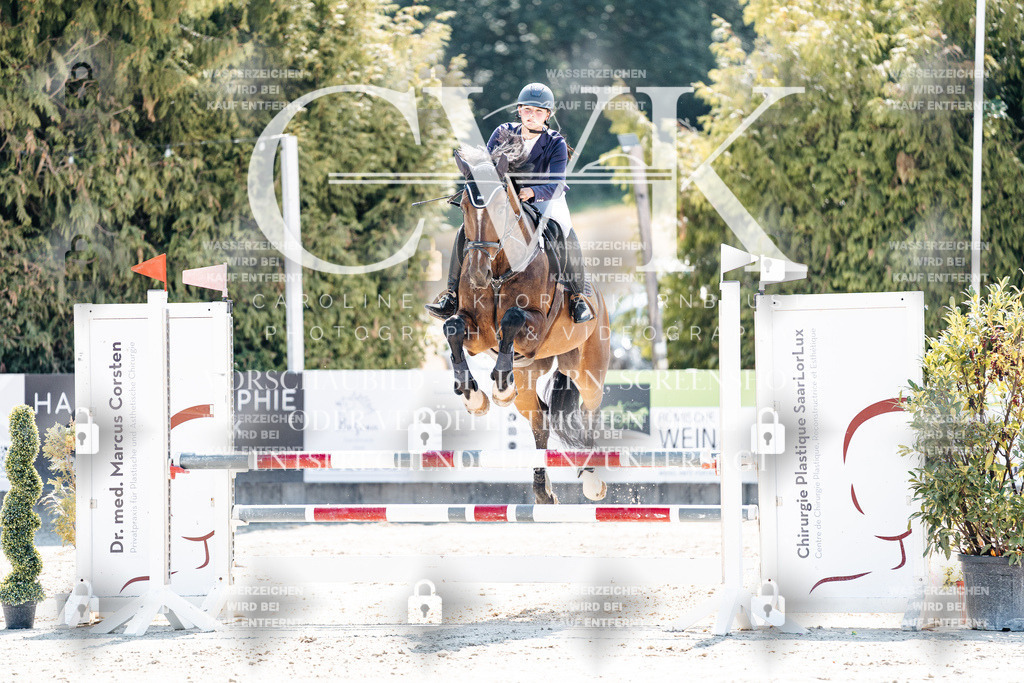 CK909235 | Turnierfotografie Pferdefotografie Trier Rheinland-Pfalz Pferdesport Reitsport Tierfotografie Sportfotografie Pferdevideo Pferdevideografie Equestrianvideography equestrianphotography  - Realisiert mit Pictrs.com