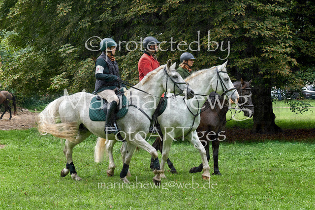 09-23 JAgd PerdölDSC01863_Marina Hewig | Fotografie, FotoArt, PferdesportArt, Pferdesportfotografie, Landschaftsfotografie, Reisefotografie, Reise, Pferde - Realisiert mit Pictrs.com