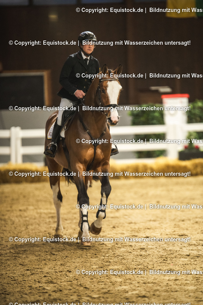 20240302_Hengstvorstellung_Marbach_TOMsPiC_0489 | equistock