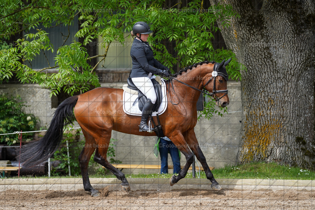20240519-FAH04922 | Turnierbilder Niederseeon 2024, Vielseitigkeitsdressur, Reitsportbilder aus dem Landkreit Ebersberg, Gut Steinsee, RC Steinsee, Fotoagentur Herrmann