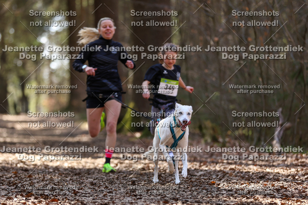 Dog Paparazzi - VCC26-1446 | Dog Paparazzi Jeanette Grottendiek Fotografie & Videografie - Realisiert mit Pictrs.com