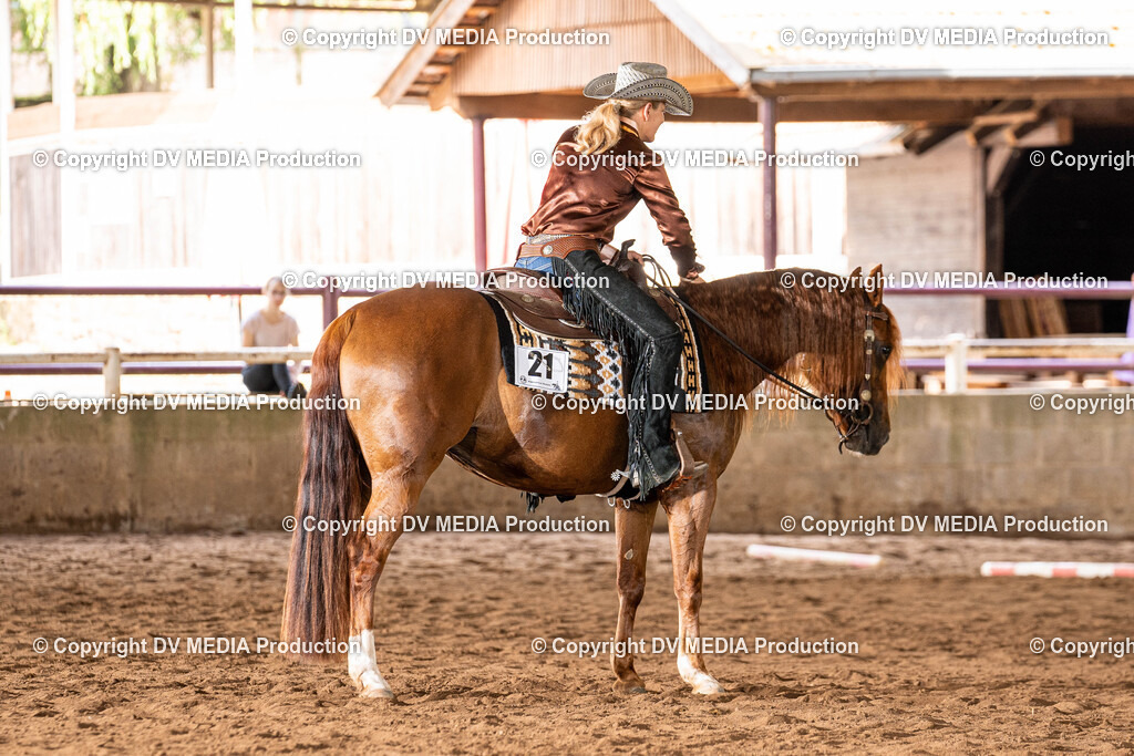 Erbach Tag 1-375 | dv-media-shop - Realisiert mit Pictrs.com