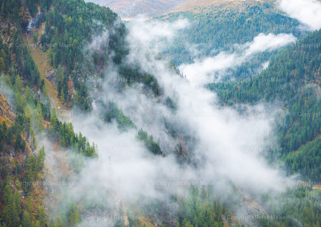 Divers_Erlebnisraum_Wald_23_Peter_Maier-866 | default