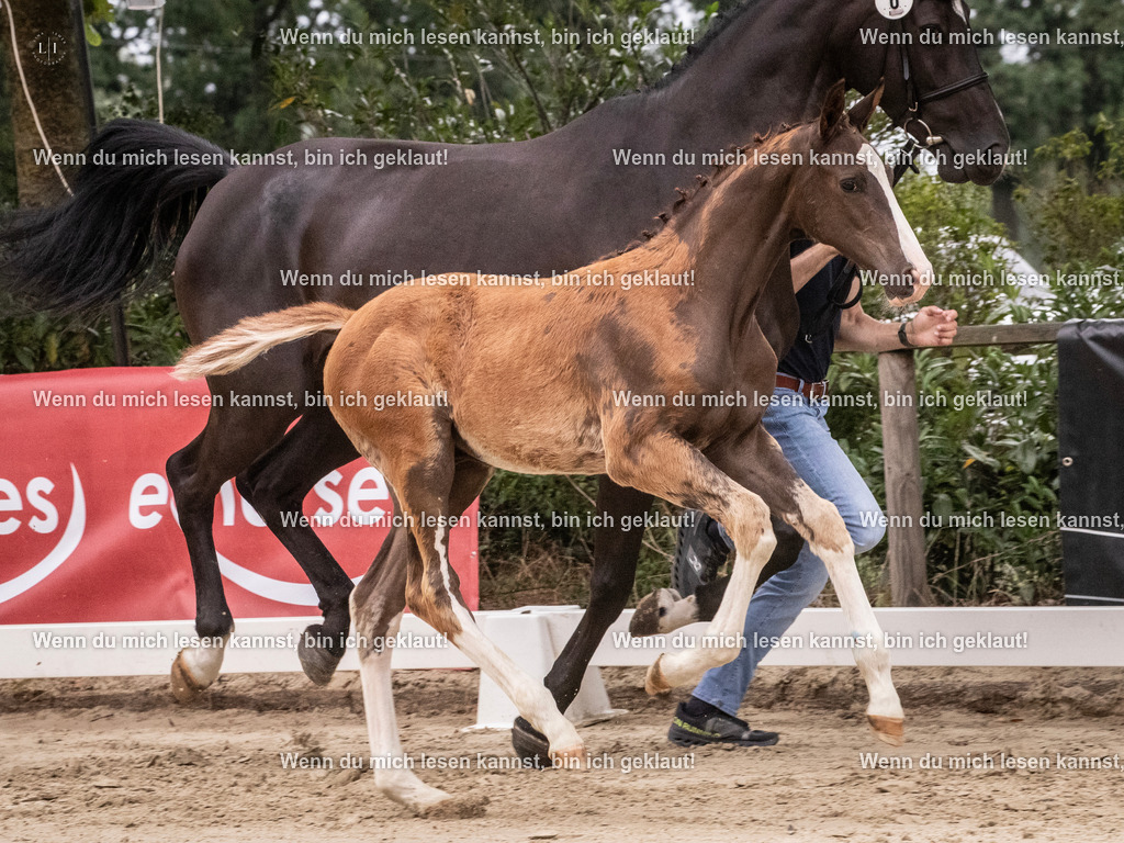 A10I9977 | photographylinaismer - Realisiert mit Pictrs.com