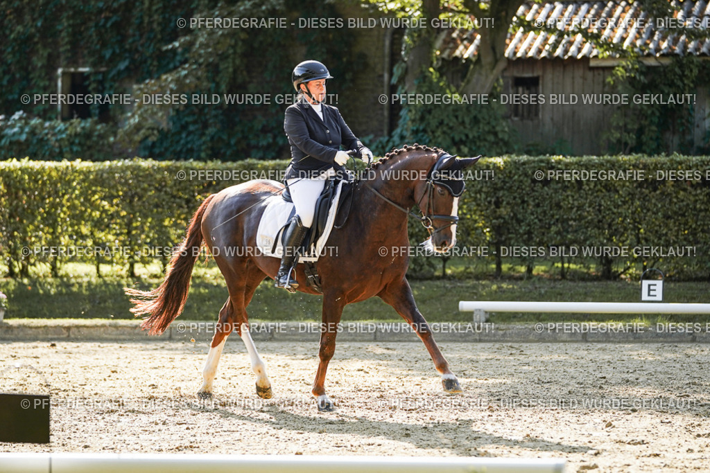 DSC06441 | Pferdegrafie