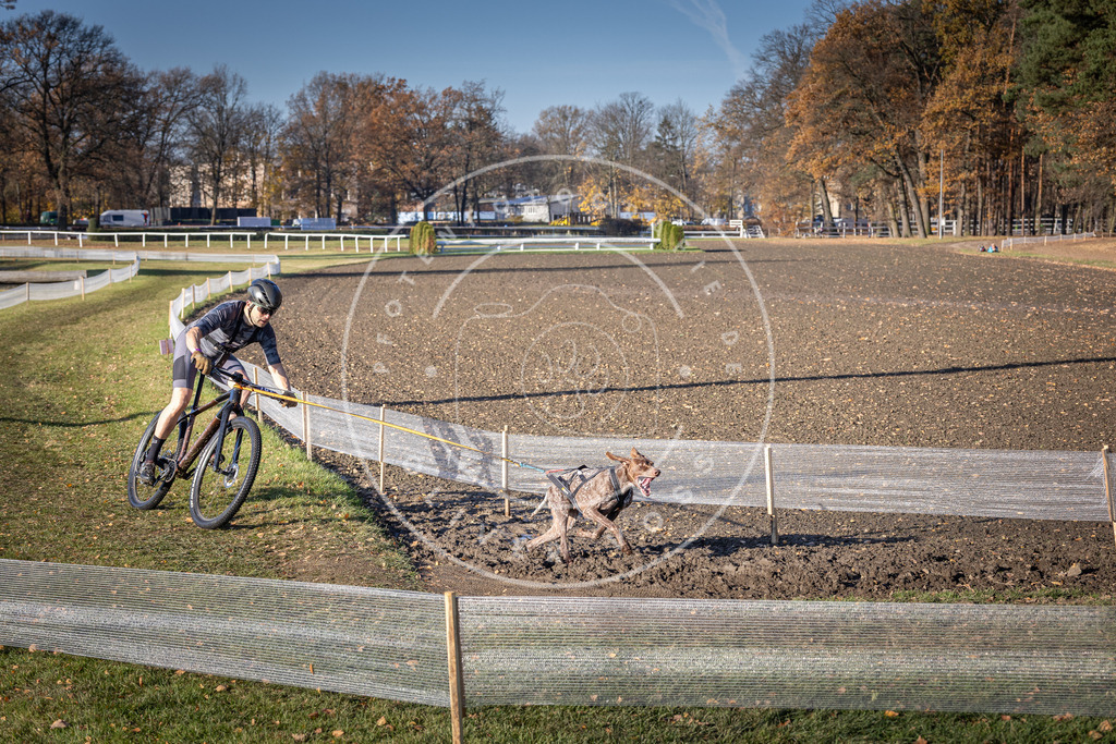CaniXpix_DV3A2467 | Hundefotografie, Tierfotograf, Pfotenfotografie, Fotoshooting Hund, Hunde Portrait, Hundesport, Hundeportraits, Heideshooting, Hunde, Sportfotograf, Hundefotograf, Turnierhundsport, THS,  - Realisiert mit Pictrs.com