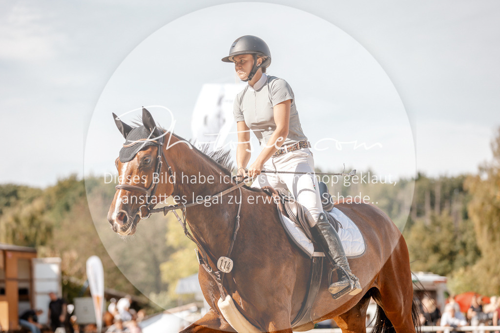 3I6A4666 | Stimmungsvolle Portraits und Reitsportfotografie im Ruhrgebiet und im Münsterland.

Pferdefotografie, Hundefotografie, Tierfotografie, Reportagen, Portraits von Tier und Mensch, Turnierfotografie in Bochum, Recklinghausen, Marl, Haltern am See, Dülmen.. - Realisiert mit Pictrs.com