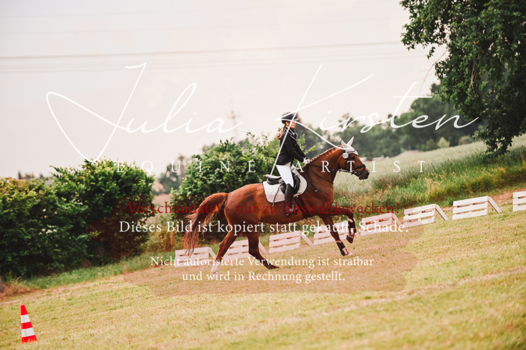 DSC_6870 | Pferde- und Turnierfotografie in Westsachsen. Pferdeportraits, Auftragszeichnungen und intuitive Kunst.