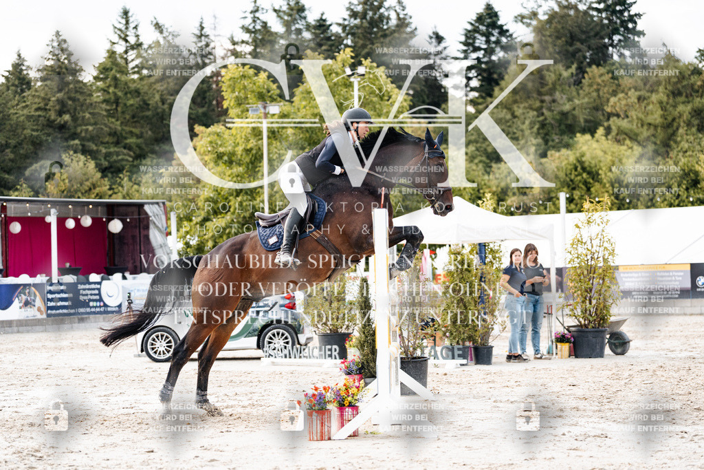 CK903995 | Turnierfotografie Pferdefotografie Trier Rheinland-Pfalz Pferdesport Reitsport Tierfotografie Sportfotografie Pferdevideo Pferdevideografie Equestrianvideography equestrianphotography  - Realisiert mit Pictrs.com