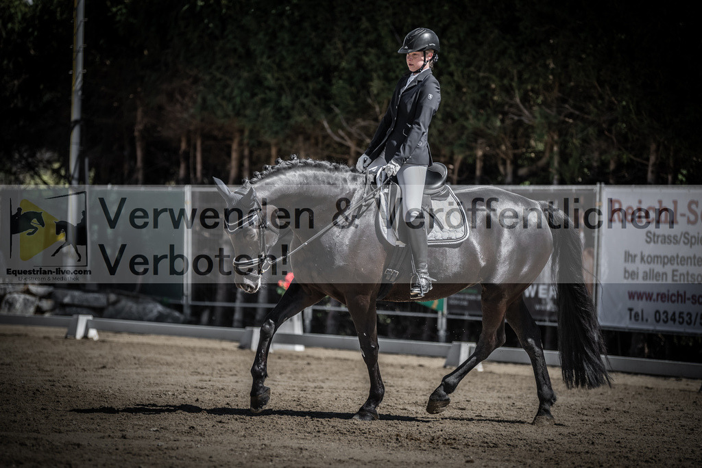 DSC_0242 | equestrian-live-com