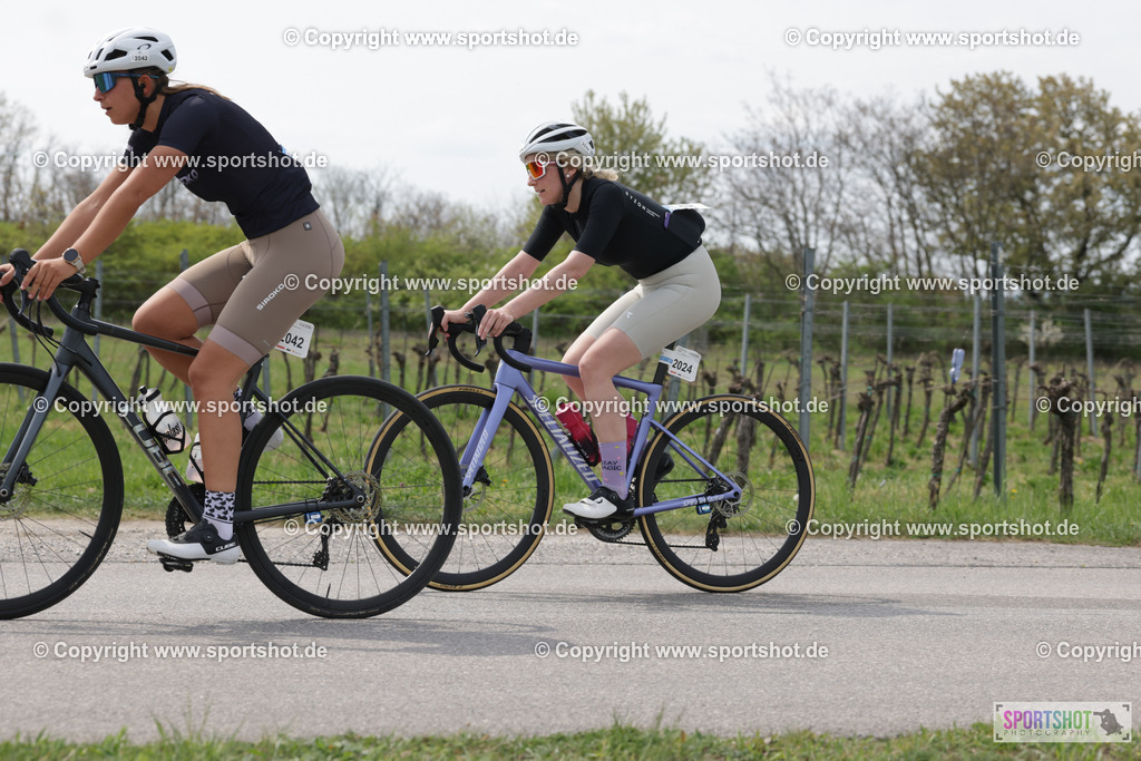 368A4828 | Neusiedlersee Radmarathon 2026@sportshot_your_pictrs #yourpictures#roadtowm2029 #nrm #neusiedlerseeradmarathon #neusiedlersee #neusiedlerseetourismus #burgenland #mörbisch #nrm26 #burgenlandtourismus #voglundco #poweredbyburgenlandtourismus #radsport #rad #marathon #ucigranfondo #visitburgenland #ucigranfondoworldseries