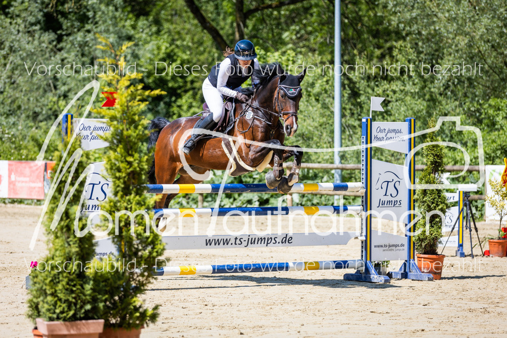 Donop24-L-Spr-007 | MomenTaufnahmen Pferdesportfotos