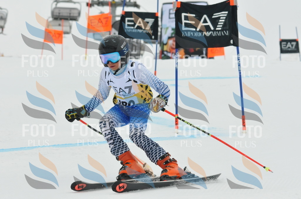 DSC_8669 | holidayphoto