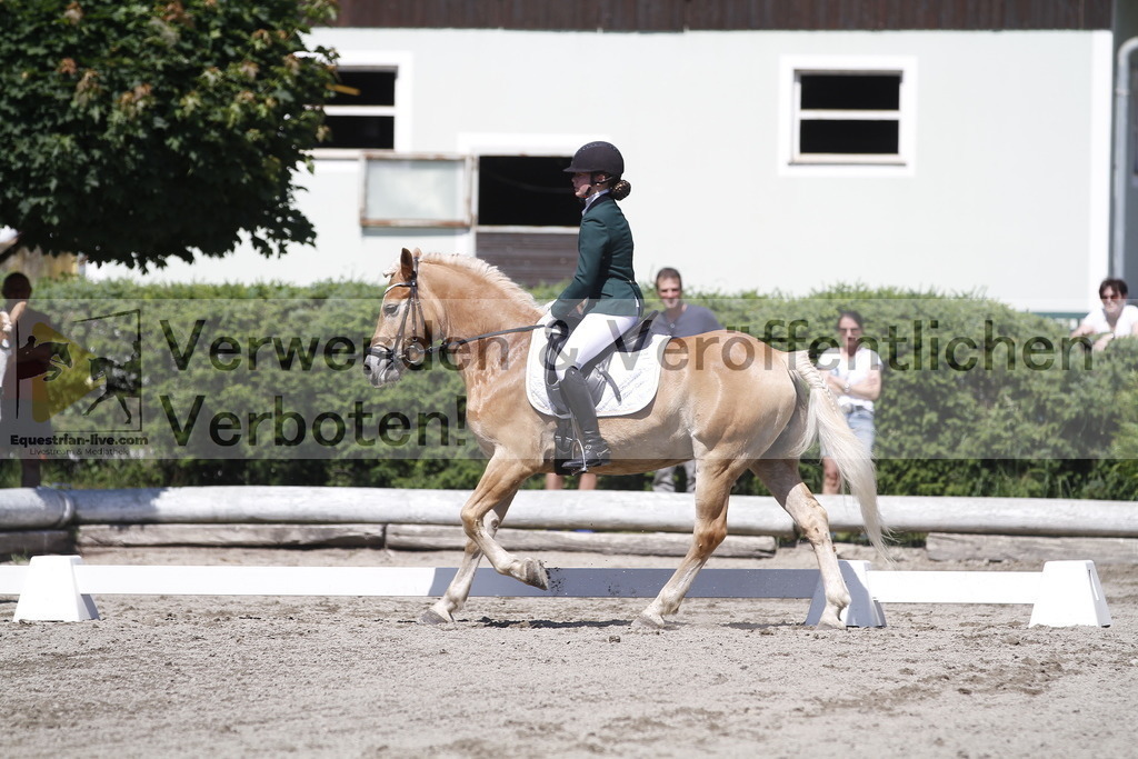 _MG_4111 | equestrian-live-com