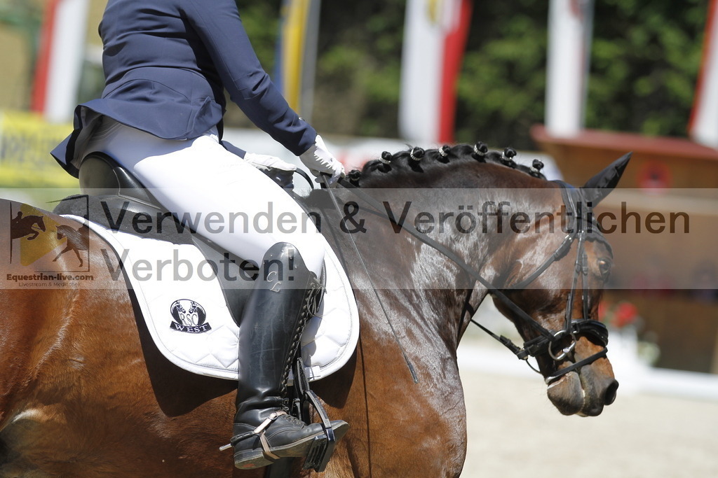 _MG_4759 | equestrian-live-com