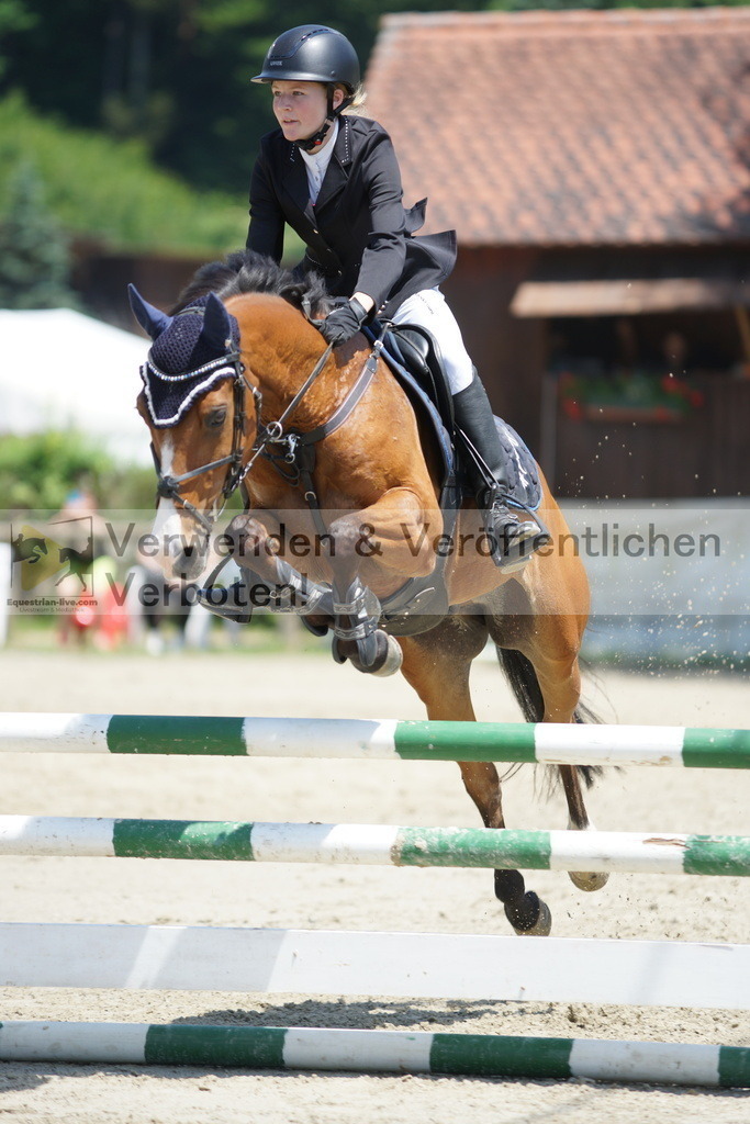 DSC00707 | equestrian-live-com